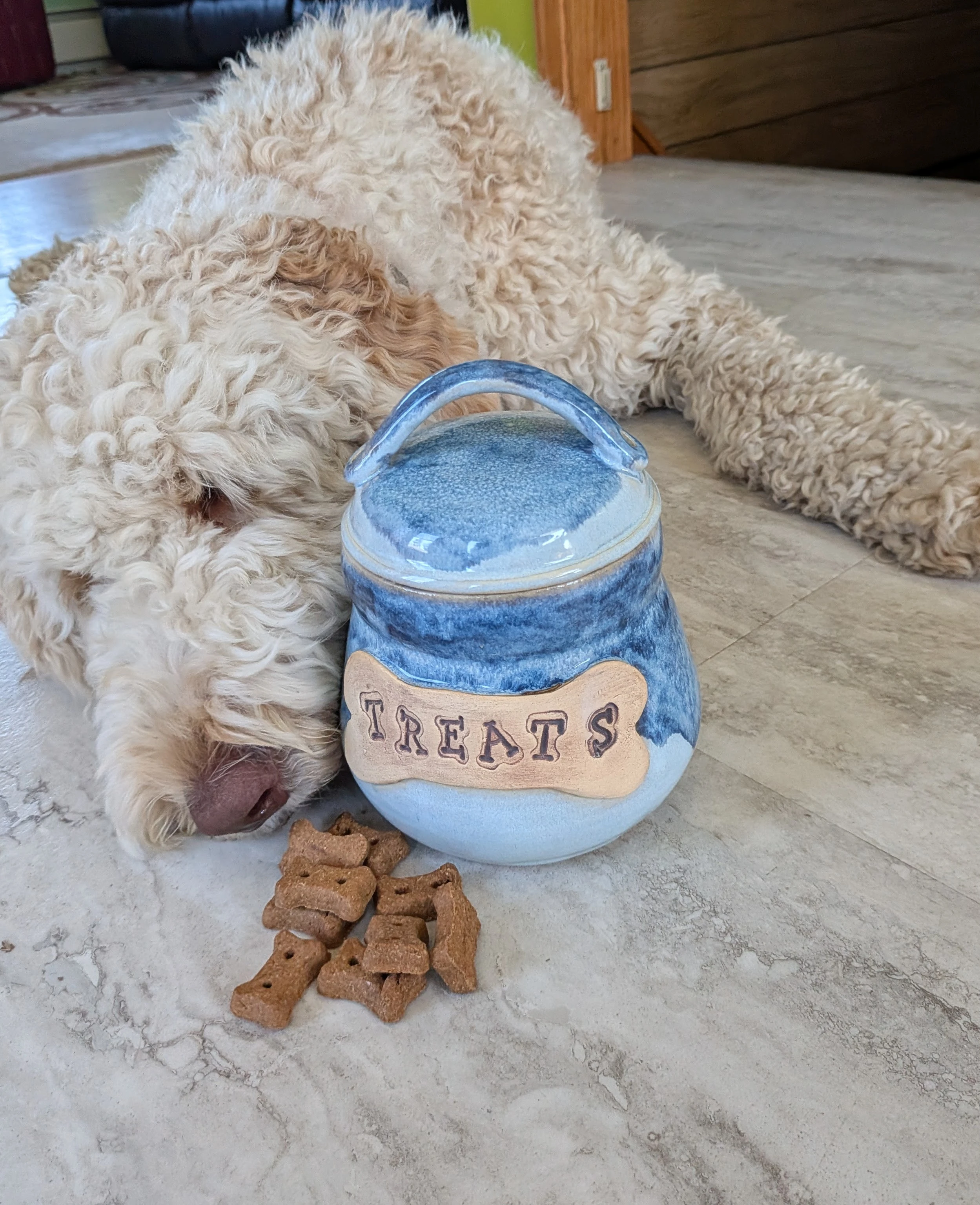 aug_26_dog_bowl.webp