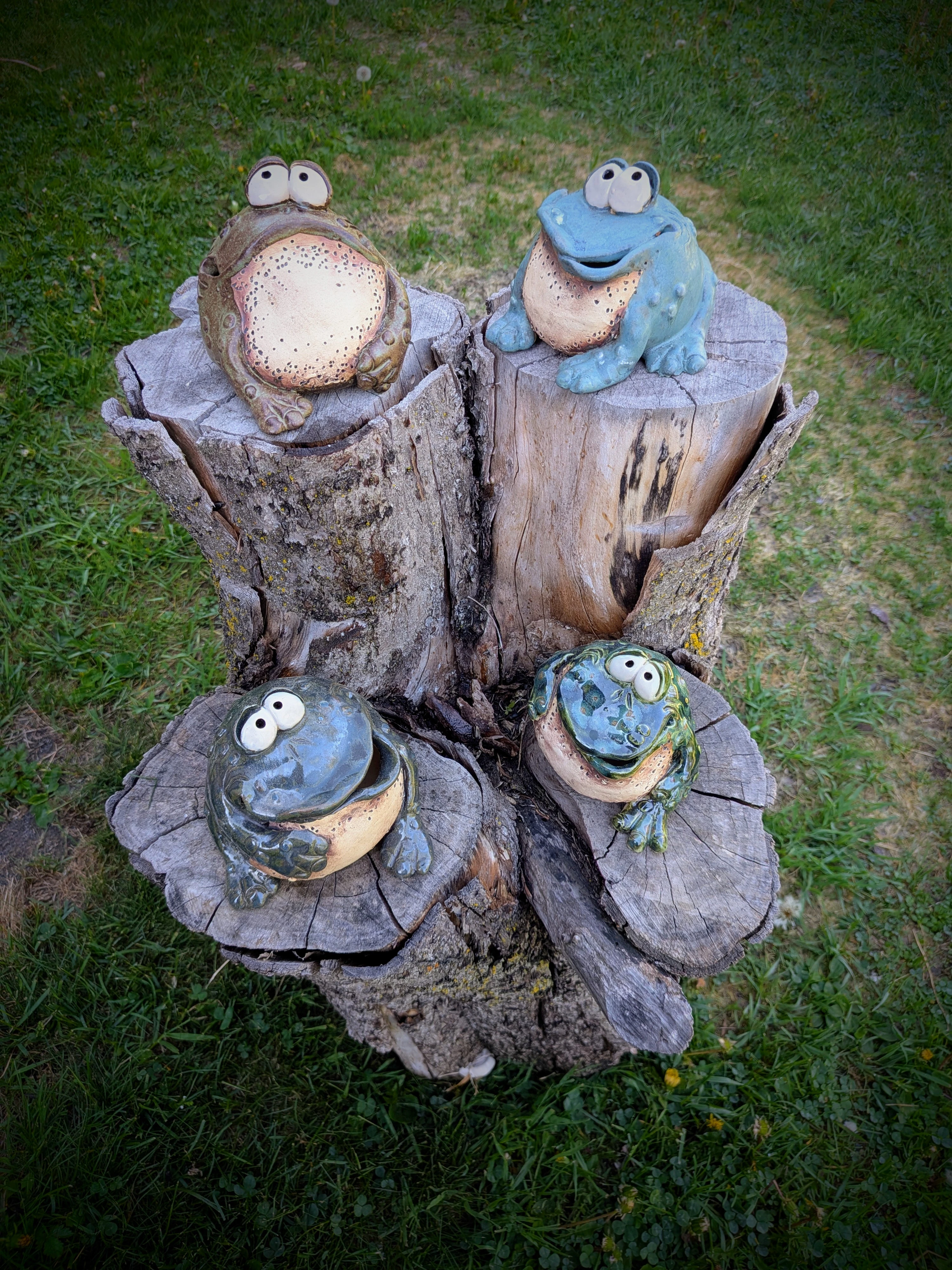 aug_26_frog.webp