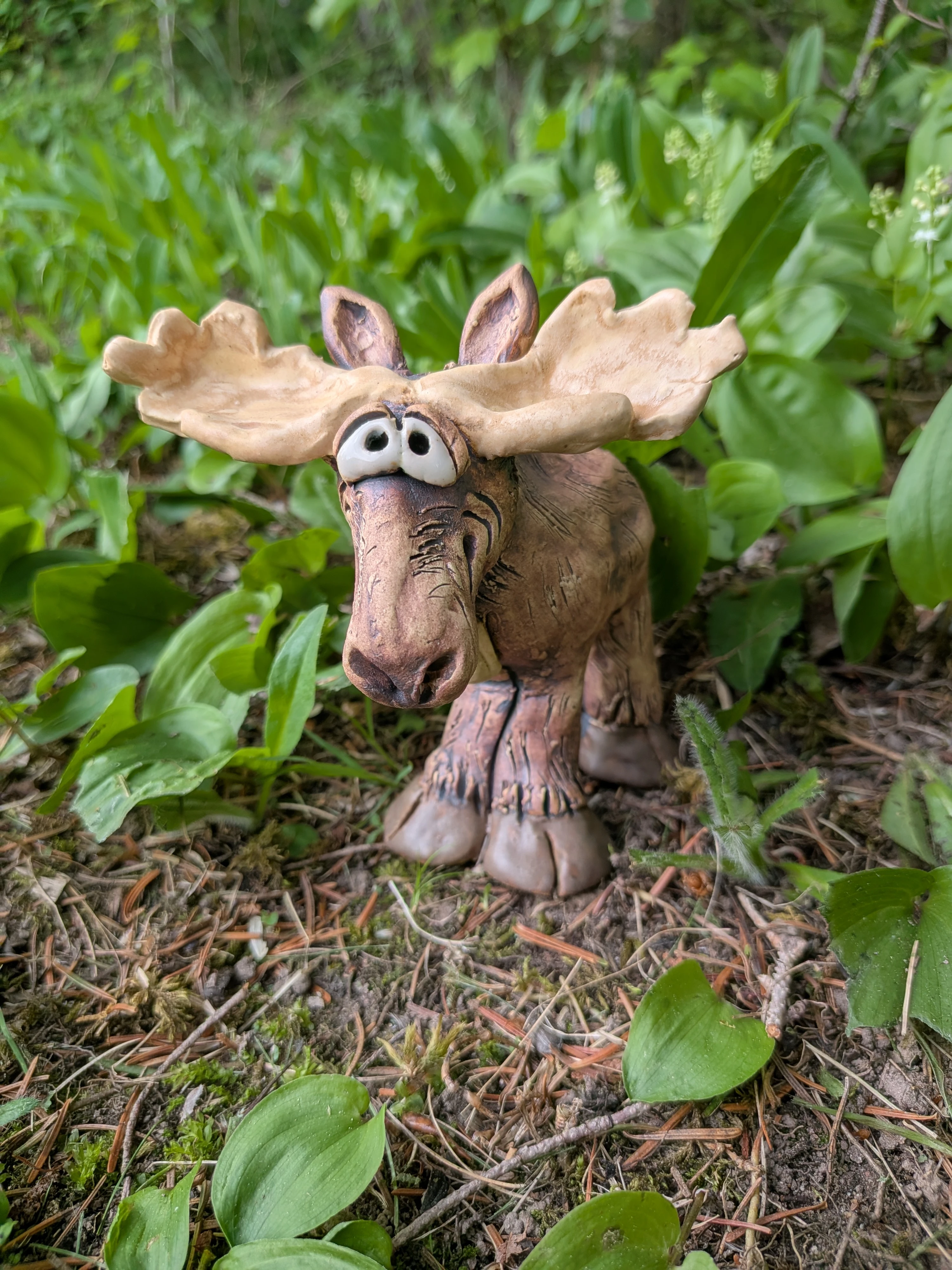 june_26_moose.webp