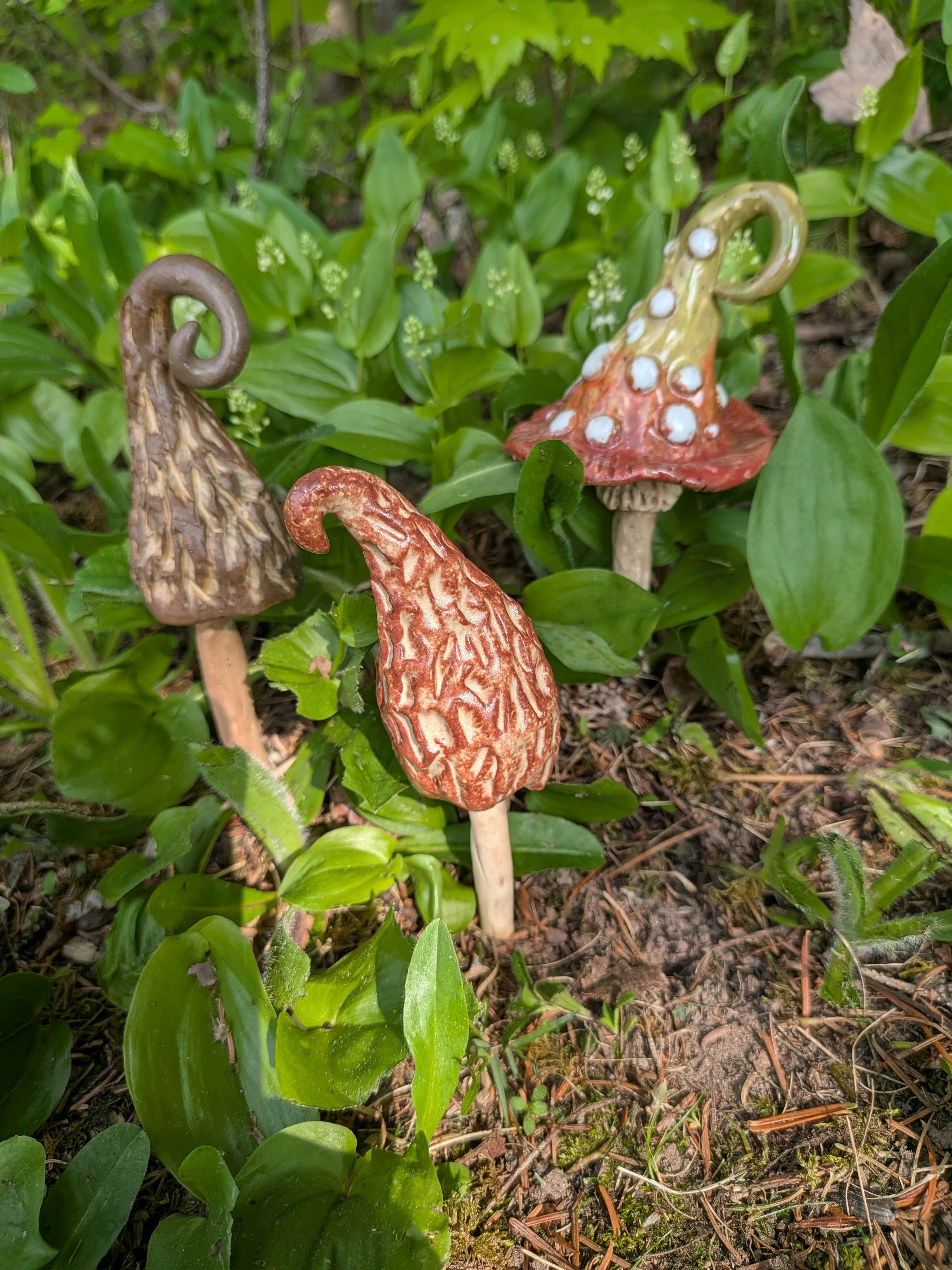 june_26_mushrooms.webp